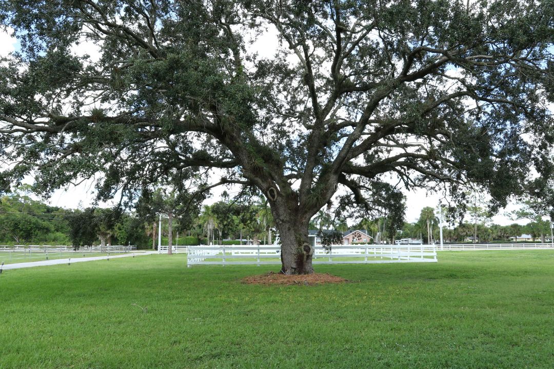 待售: $2,399,990 (4 贝兹, 3 浴室, 3854 平方英尺)