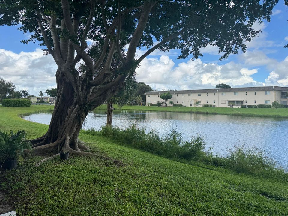 合同活跃: $165,000 (2 贝兹, 1 浴室, 798 平方英尺)