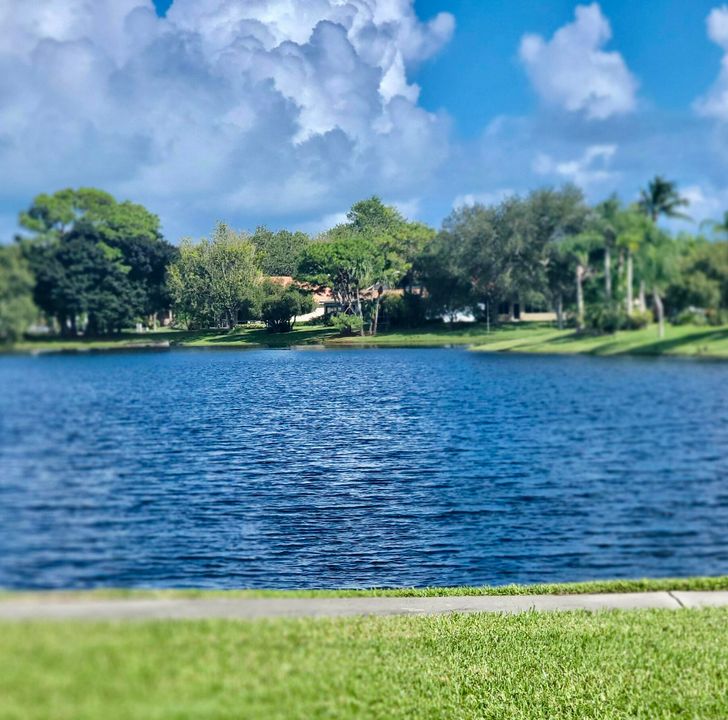 Под контрактом: $399,000 (3 спален, 2 ванн, 1436 Квадратных фут)