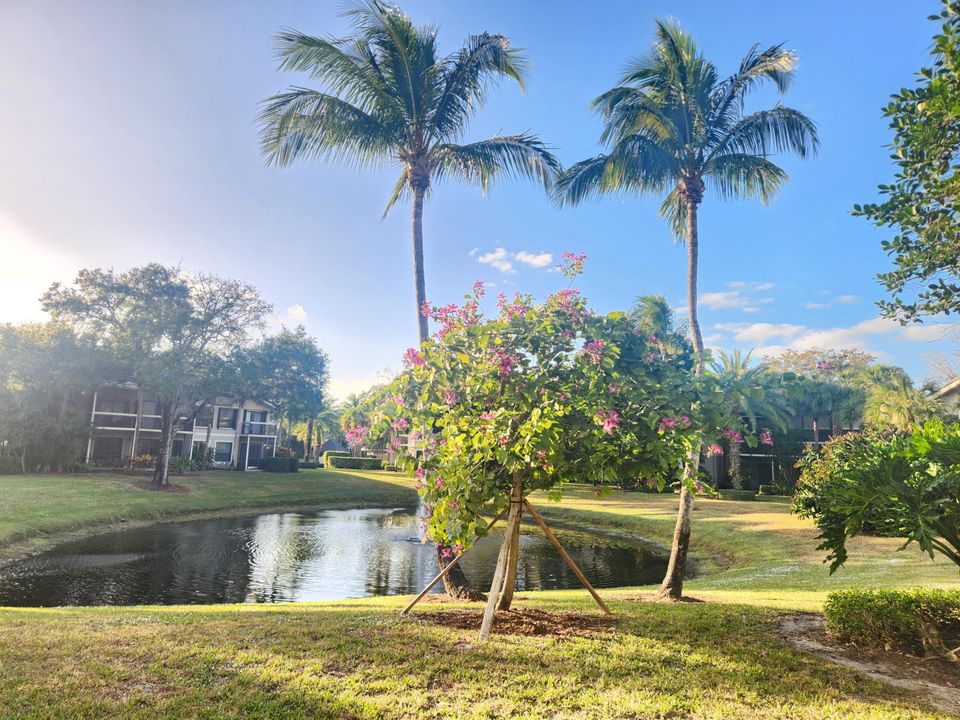 На продажу: $594,000 (2 спален, 2 ванн, 1400 Квадратных фут)