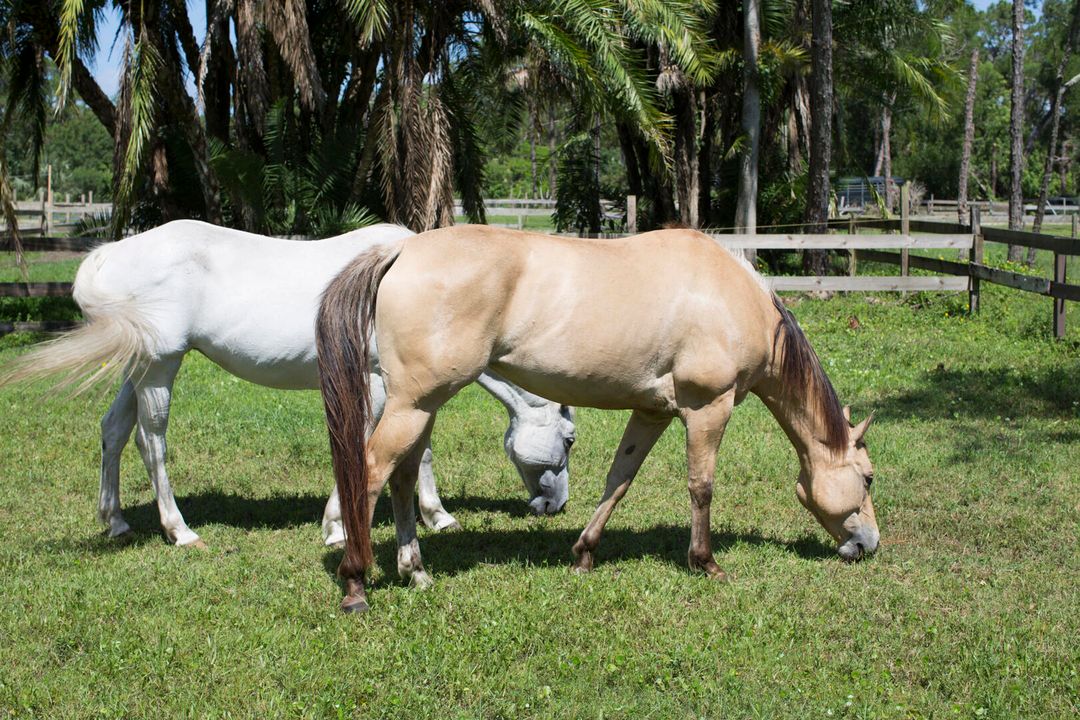 Active With Contract: $859,000 (4 beds, 3 baths, 2208 Square Feet)