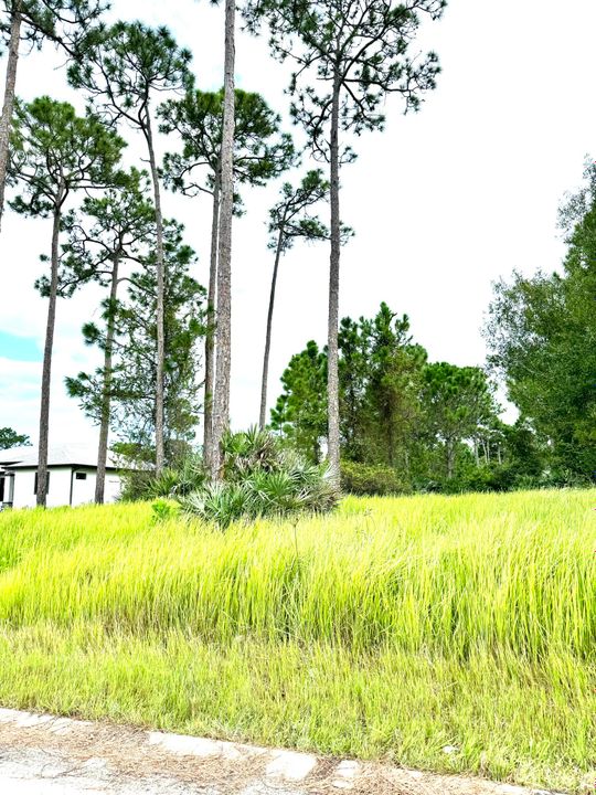 En Venta: $270,000 (0 camas, 0 baños, 0 Pies cuadrados)