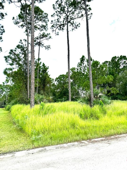 En Venta: $270,000 (0 camas, 0 baños, 0 Pies cuadrados)