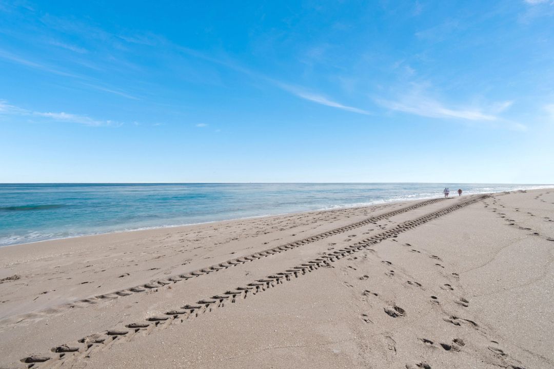 В аренду: $8,000 (2 спален, 2 ванн, 1435 Квадратных фут)