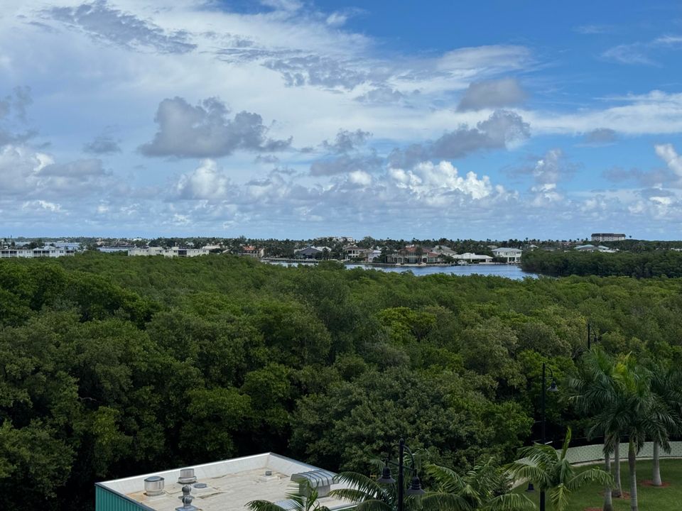 合同活跃: $6,000 (3 贝兹, 2 浴室, 1385 平方英尺)