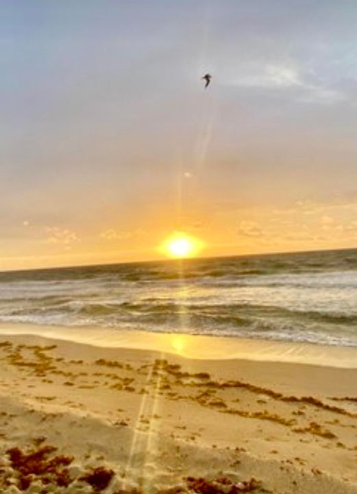 Active With Contract: $380,000 (1 beds, 1 baths, 774 Square Feet)