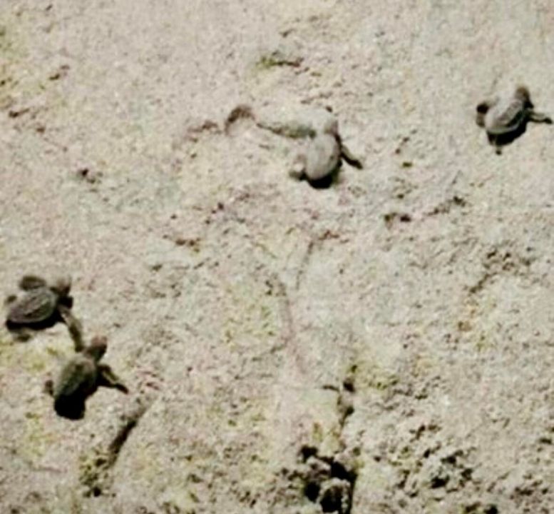 Active With Contract: $380,000 (1 beds, 1 baths, 774 Square Feet)