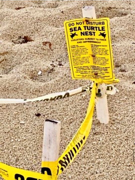 Active With Contract: $380,000 (1 beds, 1 baths, 774 Square Feet)