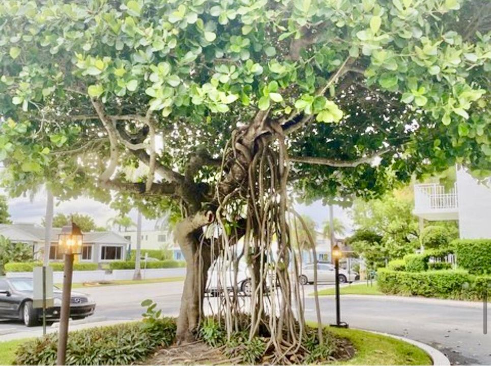 Active With Contract: $380,000 (1 beds, 1 baths, 774 Square Feet)