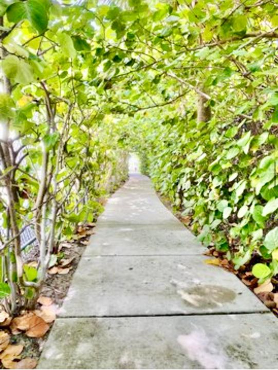 Active With Contract: $380,000 (1 beds, 1 baths, 774 Square Feet)