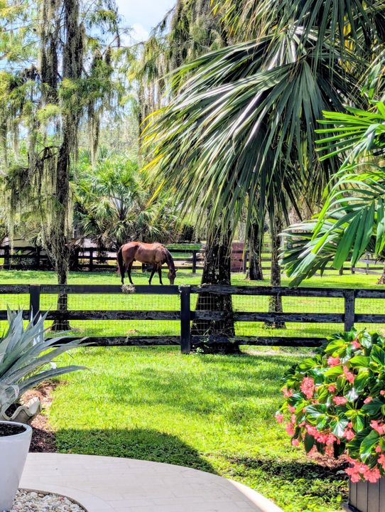 En Venta: $1,995,000 (5 camas, 3 baños, 2860 Pies cuadrados)