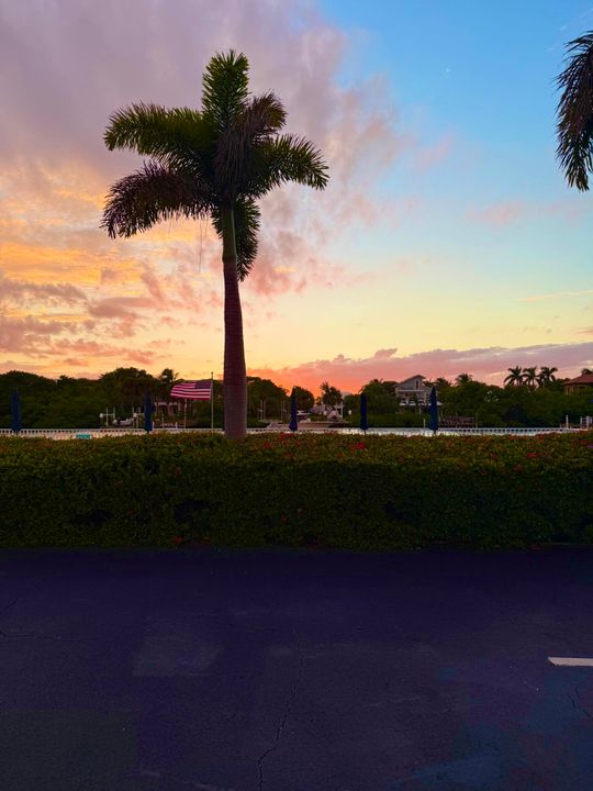 合同活跃: $153,000 (1 贝兹, 1 浴室, 570 平方英尺)