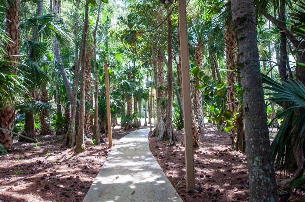 Active With Contract: $4,250 (3 beds, 2 baths, 1300 Square Feet)