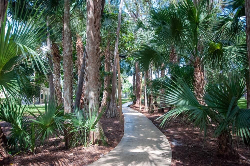 Active With Contract: $4,250 (3 beds, 2 baths, 1300 Square Feet)