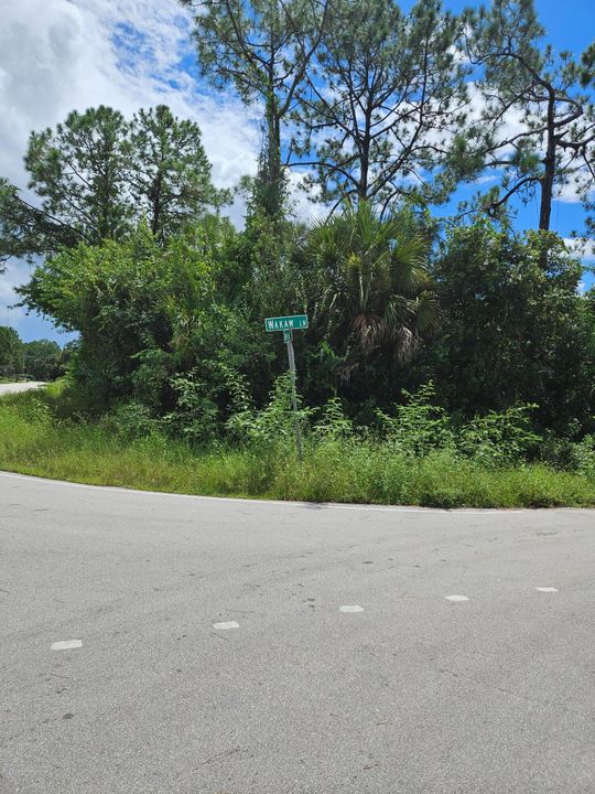 待售: $45,000 (0 贝兹, 0 浴室, 0 平方英尺)