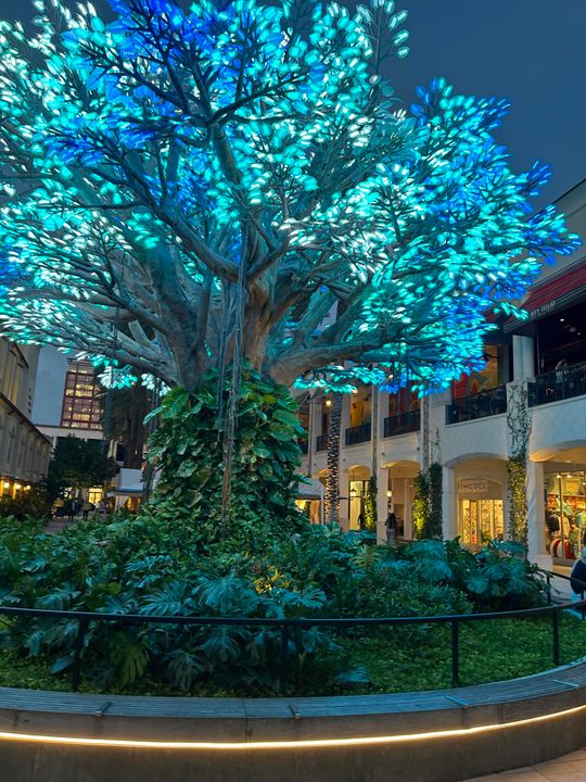 В аренду: $5,175 (2 спален, 2 ванн, 1222 Квадратных фут)