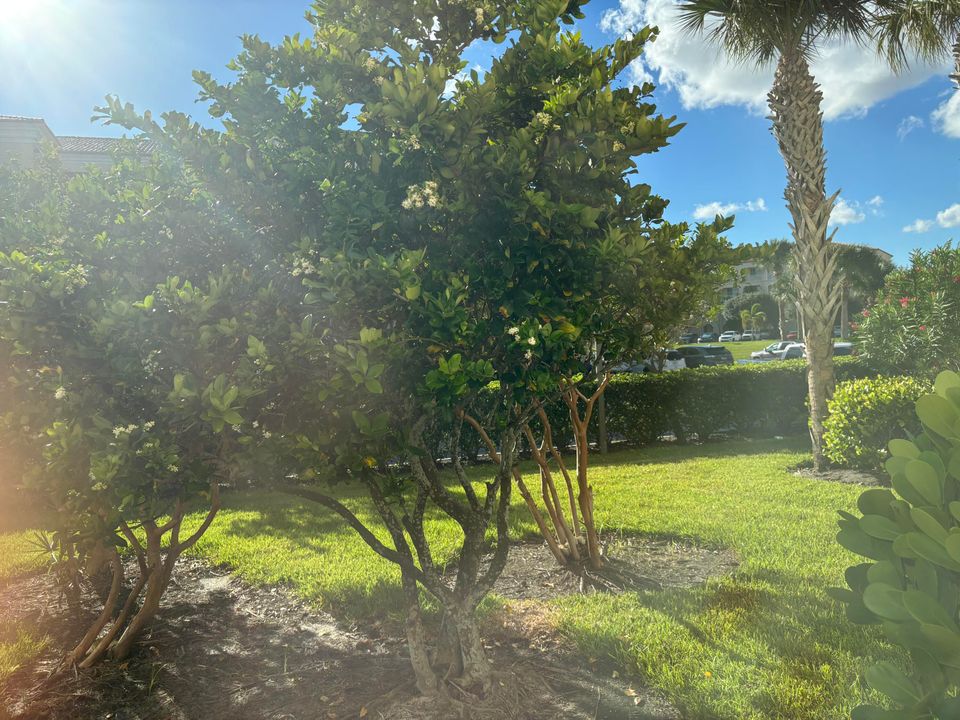 For Sale: $379,900 (2 beds, 2 baths, 1989 Square Feet)