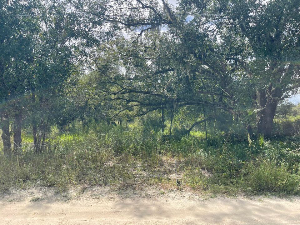 待售: $28,000 (0 贝兹, 0 浴室, 0 平方英尺)