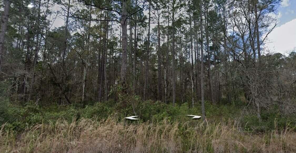 For Sale: $35,000 (0 beds, 0 baths, 0 Square Feet)