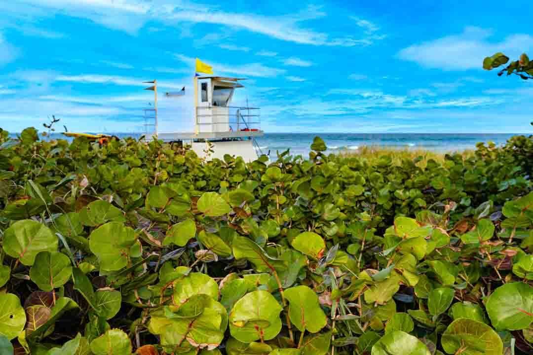 合同活跃: $249,900 (2 贝兹, 2 浴室, 1026 平方英尺)