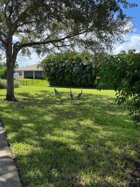 Activo con contrato: $750,000 (4 camas, 2 baños, 2225 Pies cuadrados)