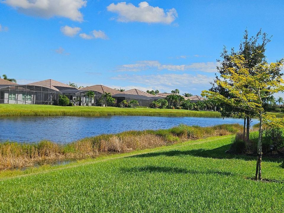 Active With Contract: $2,700 (2 beds, 2 baths, 1689 Square Feet)