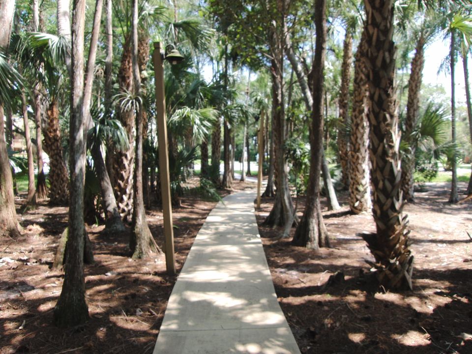 Active With Contract: $2,500 (3 beds, 2 baths, 1300 Square Feet)