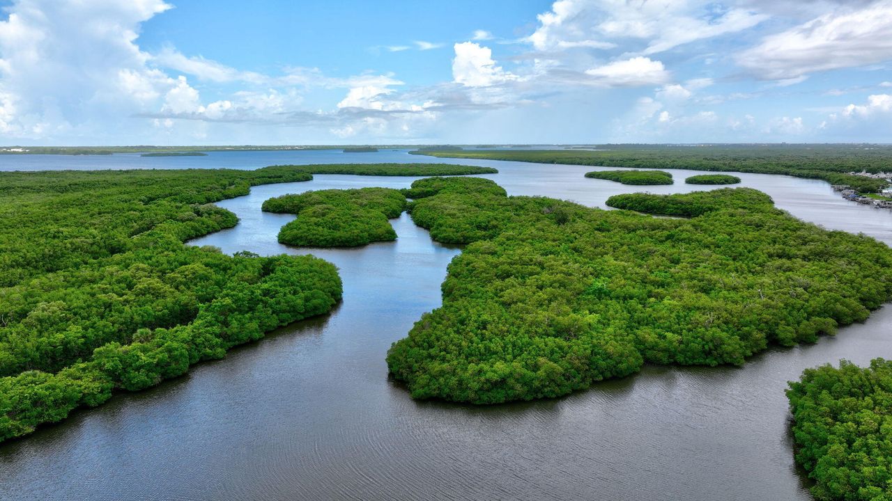 For Sale: $625,000 (3 beds, 2 baths, 1571 Square Feet)