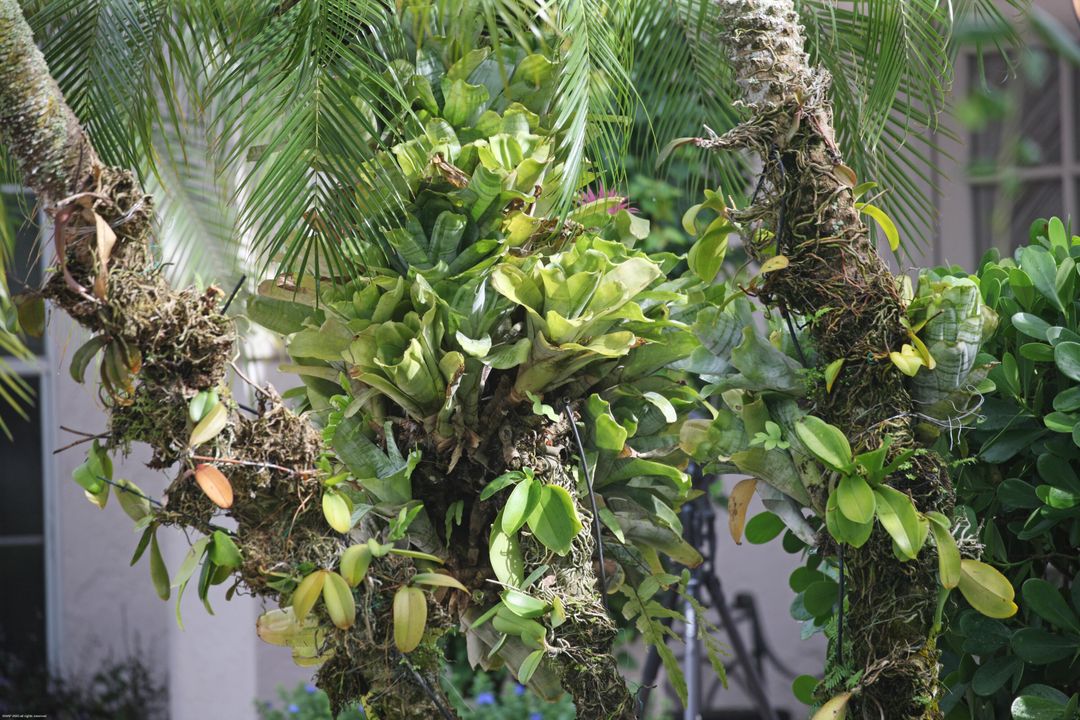 For Rent: $20,000 (3 beds, 3 baths, 2101 Square Feet)