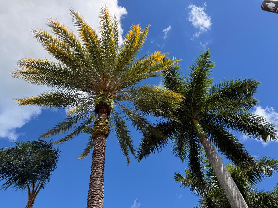 待售: $329,000 (3 贝兹, 2 浴室, 1526 平方英尺)