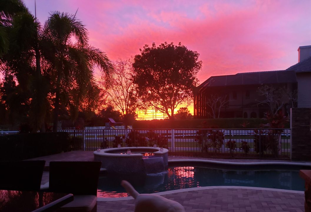 For Sale: $1,397,000 (4 beds, 4 baths, 3464 Square Feet)