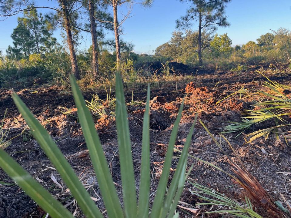 Activo con contrato: $27,500 (0 camas, 0 baños, 0 Pies cuadrados)