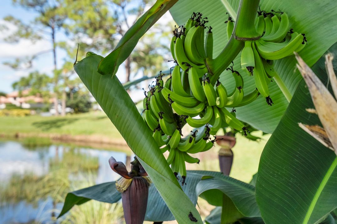 待售: $1,200,000 (4 贝兹, 3 浴室, 3753 平方英尺)