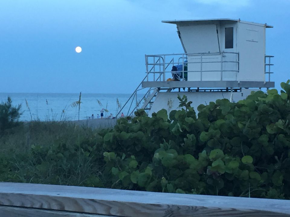 待售: $1,990,800 (3 贝兹, 3 浴室, 2815 平方英尺)