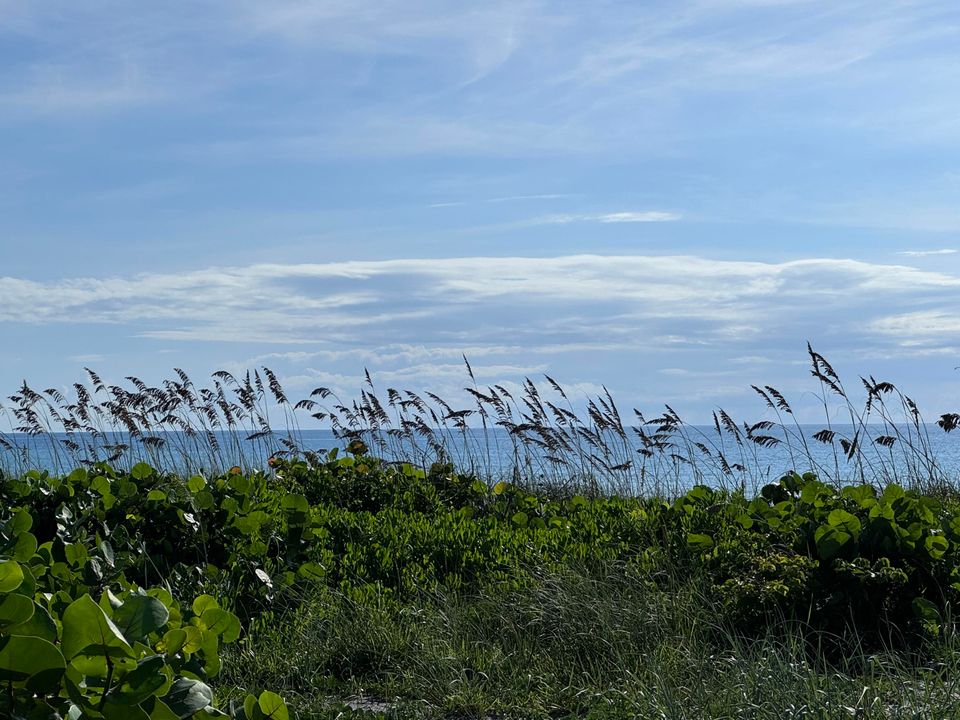 待售: $1,990,800 (3 贝兹, 3 浴室, 2815 平方英尺)