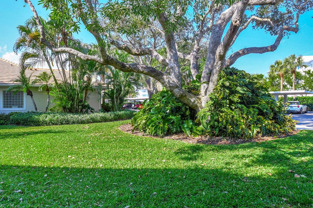 En Renta: $4,000 (2 camas, 2 baños, 1533 Pies cuadrados)