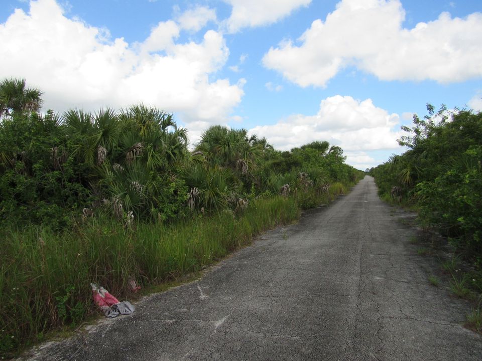 待售: $40,000 (0 贝兹, 0 浴室, 0 平方英尺)