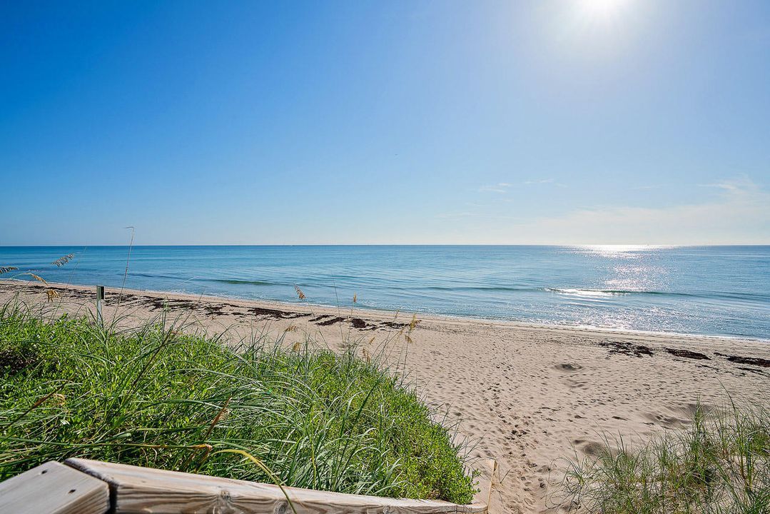 合同活跃: $5,000 (2 贝兹, 2 浴室, 1586 平方英尺)