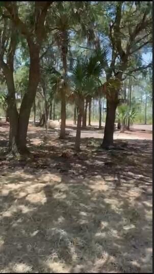 En Venta: $255,500 (0 camas, 0 baños, 0 Pies cuadrados)