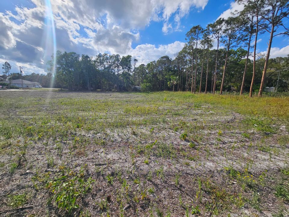 For Sale: $280,000 (0 beds, 0 baths, 0 Square Feet)