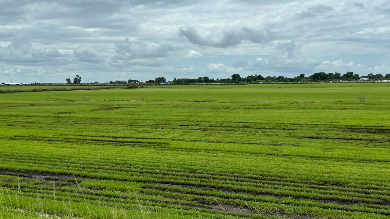 En Venta: $16,000,000 (0 camas, 0 baños, 0 Pies cuadrados)