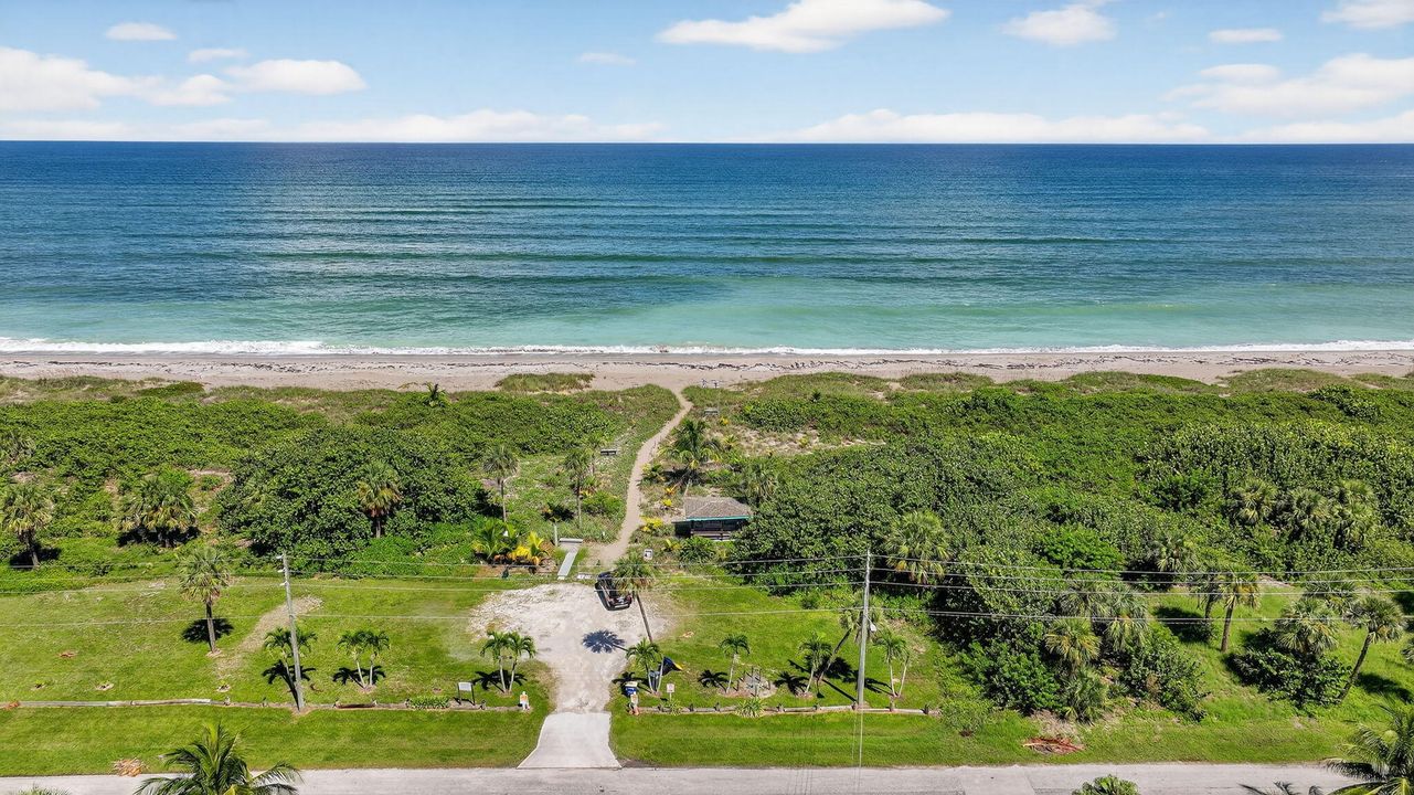 出租: $3,650 (4 贝兹, 3 浴室, 1866 平方英尺)