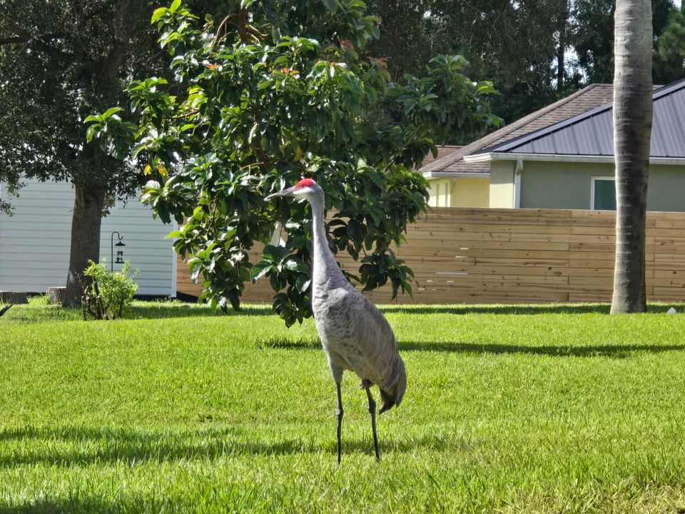 合同活跃: $485,000 (3 贝兹, 2 浴室, 1738 平方英尺)