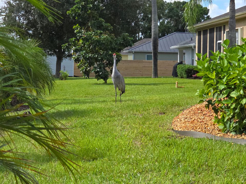 合同活跃: $485,000 (3 贝兹, 2 浴室, 1738 平方英尺)