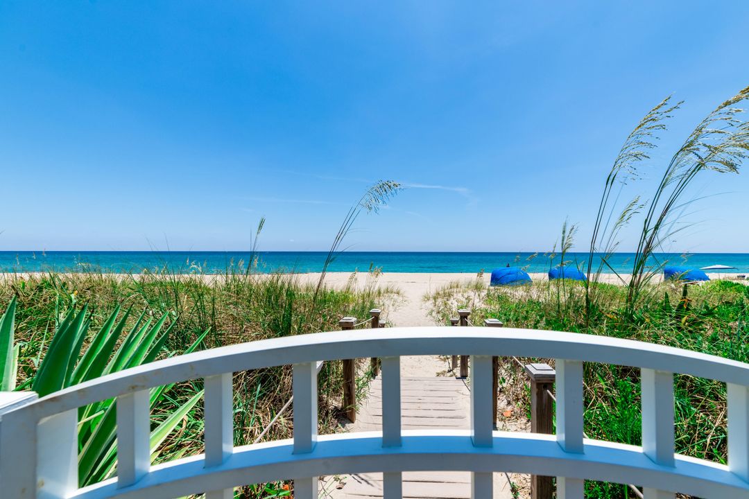 出租: $9,500 (2 贝兹, 2 浴室, 1294 平方英尺)