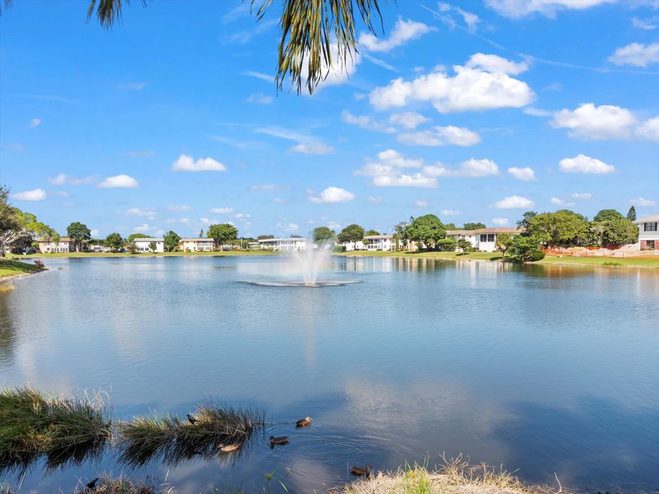 合同活跃: $98,000 (1 贝兹, 1 浴室, 570 平方英尺)