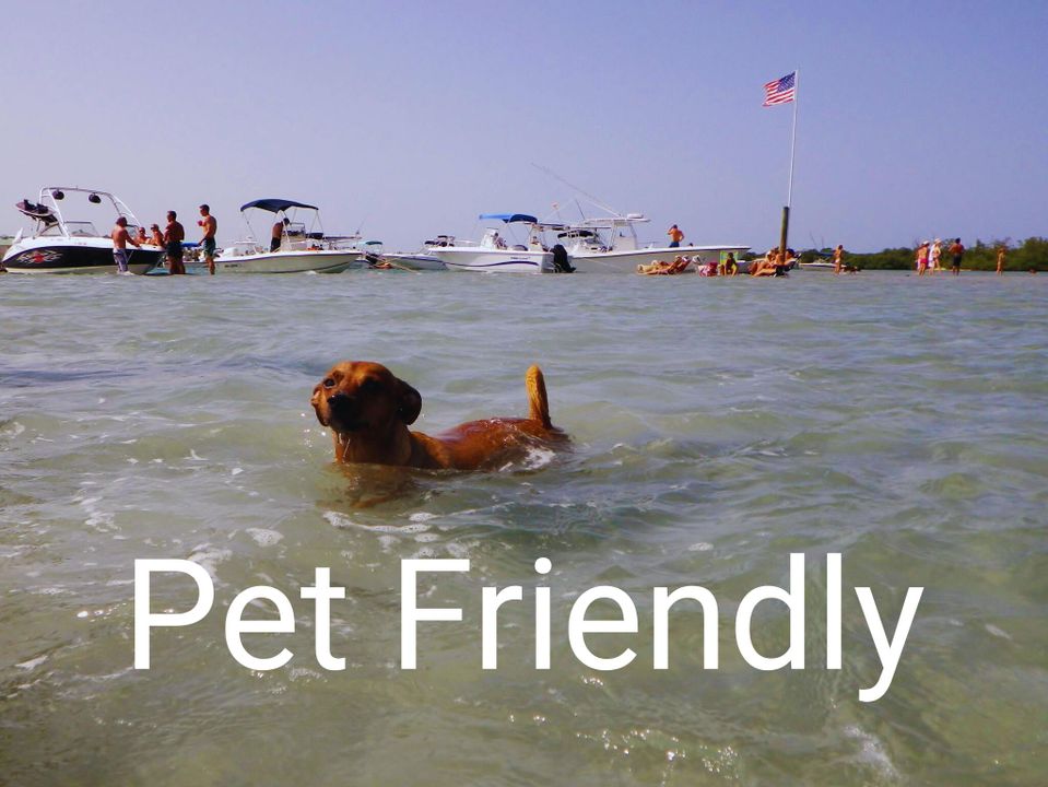 待售: $329,000 (2 贝兹, 2 浴室, 1176 平方英尺)