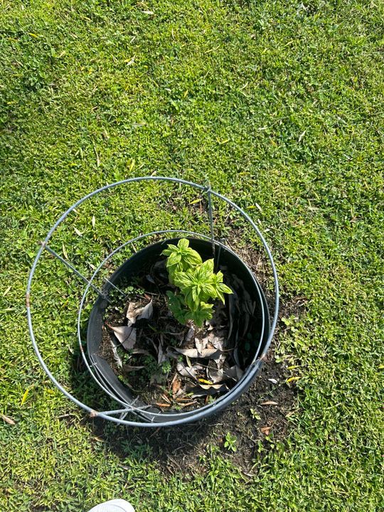 For Rent: $2,300 (3 beds, 2 baths, 1266 Square Feet)