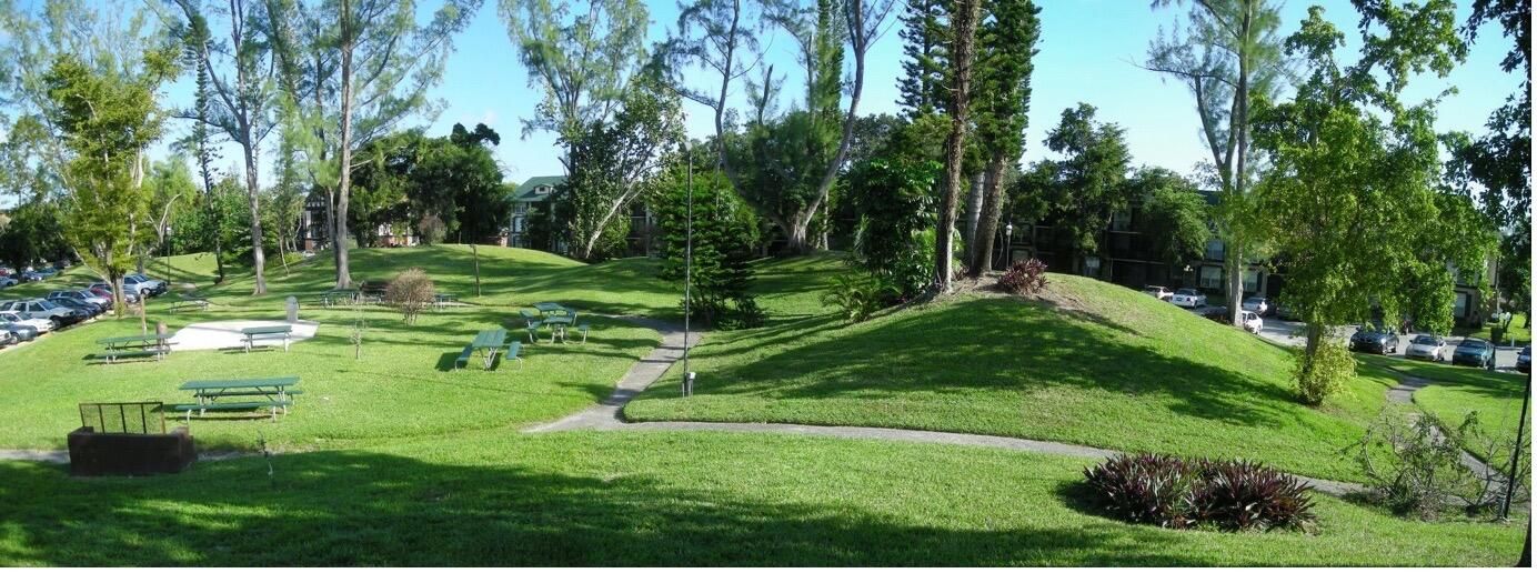 Active With Contract: $1,450 (1 beds, 1 baths, 800 Square Feet)