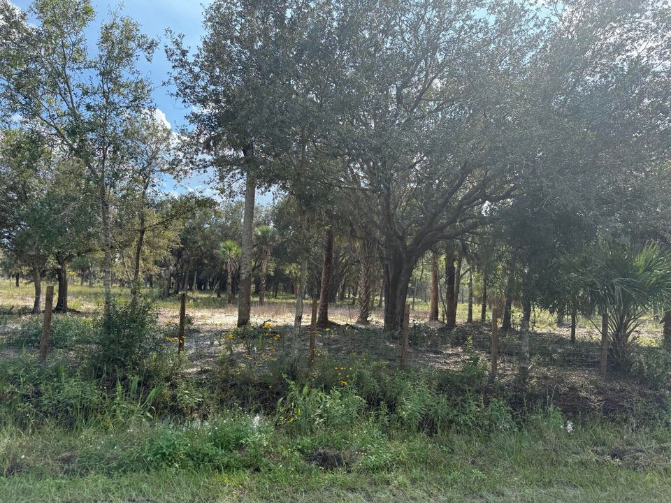 En Venta: $255,500 (0 camas, 0 baños, 0 Pies cuadrados)